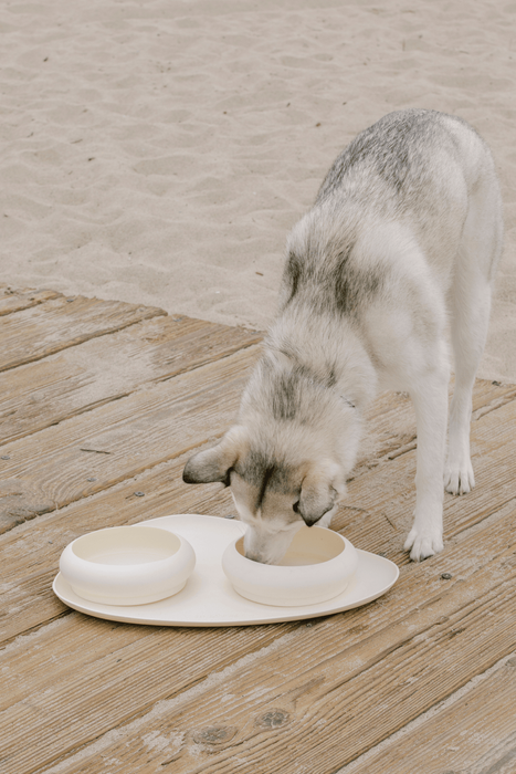 Maxbone Bubble Bowls & Mat Set