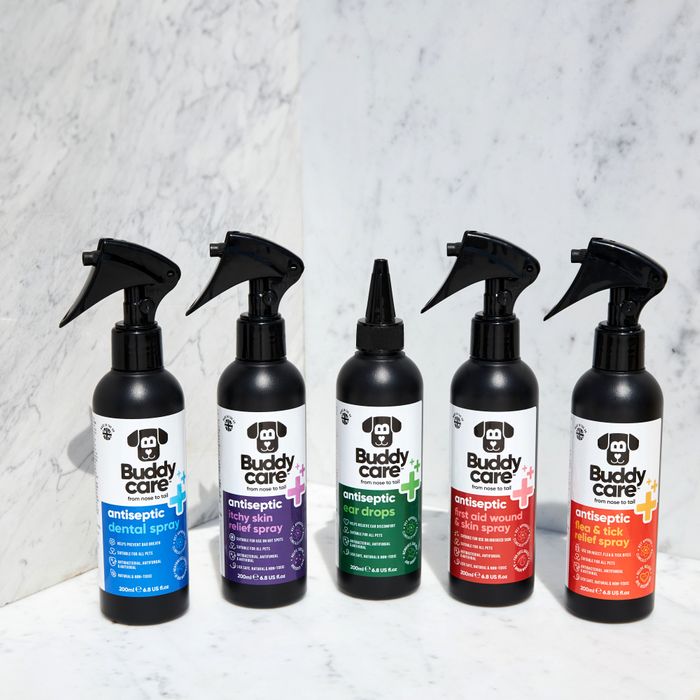 Buddycare Pet Antiseptic Range