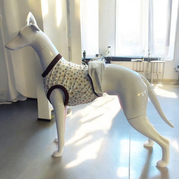 Sighthound Surgery Recovery Suit