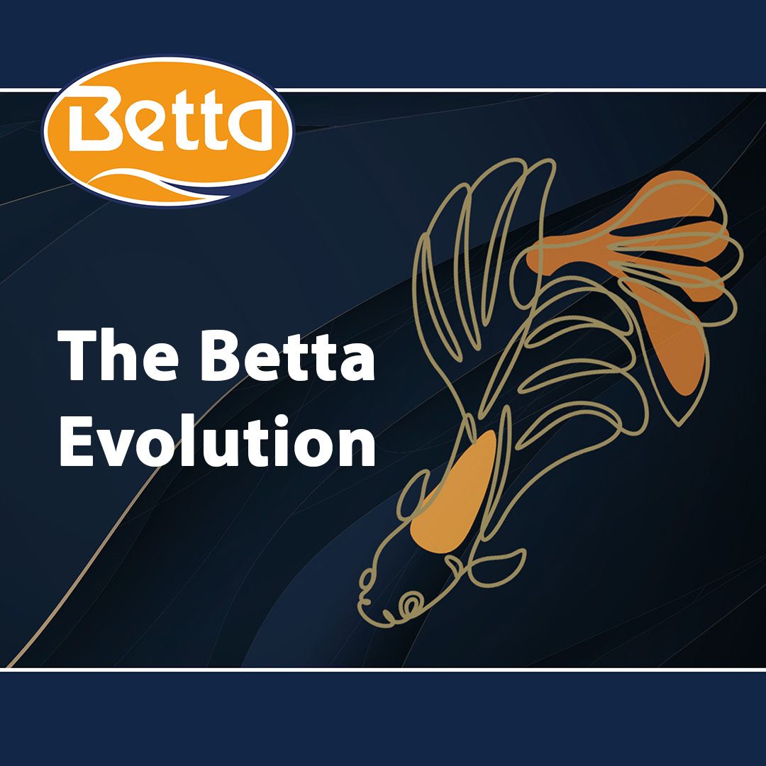 The Betta Evolution