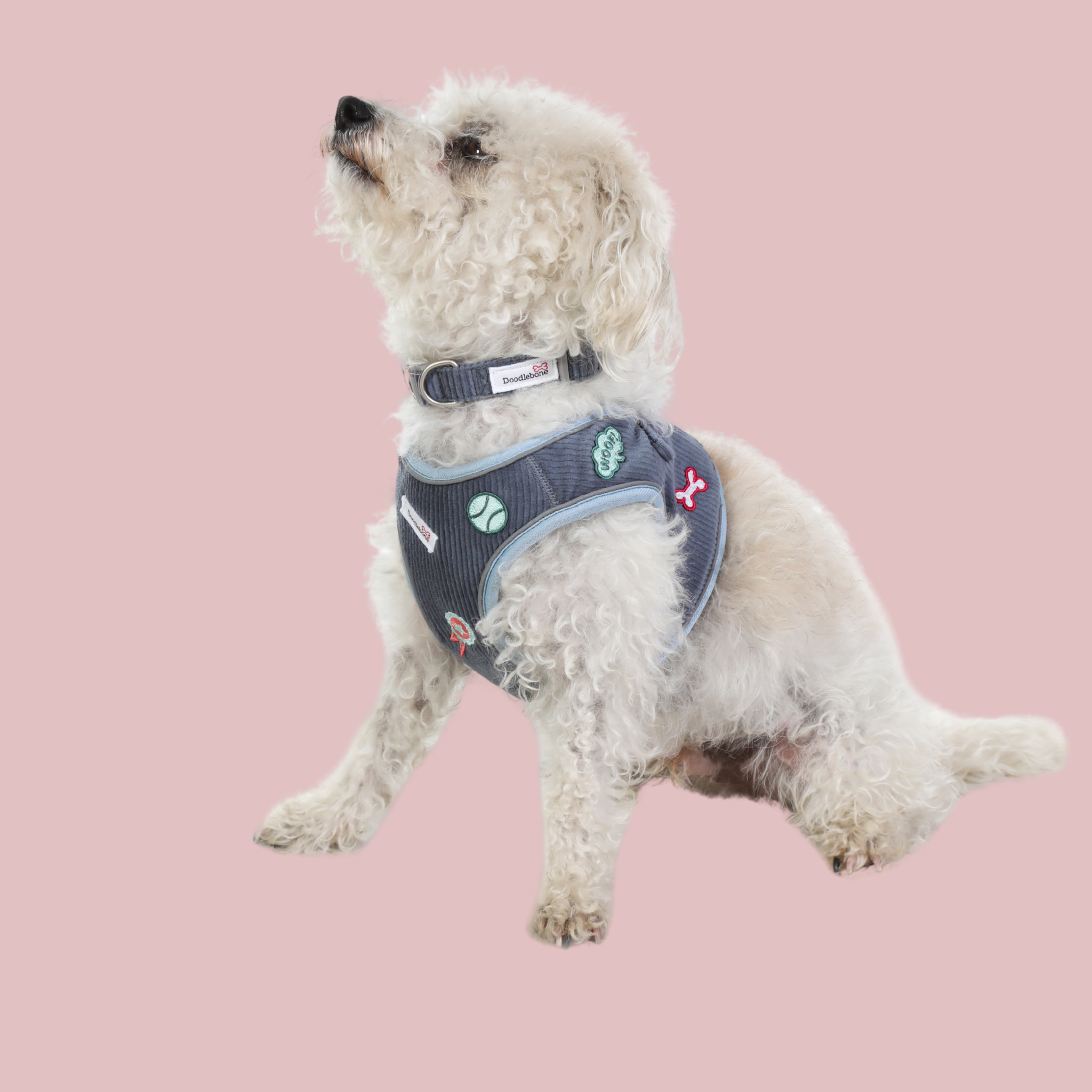 Doodlebone launches their Dinky Dog Collection
