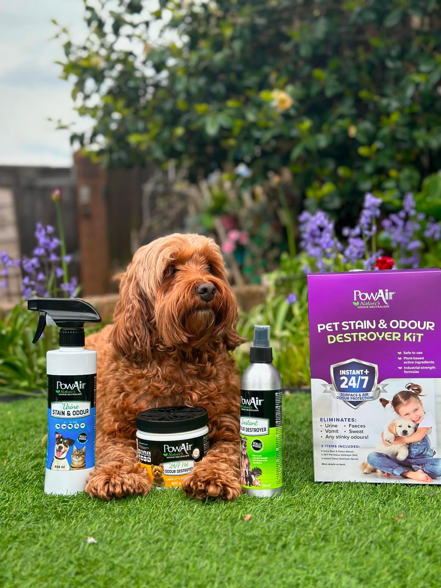 PowAir Launches Groundbreaking Pet Stain & Odour Destroyer Kit to Tackle Tough Pet Messes Naturally