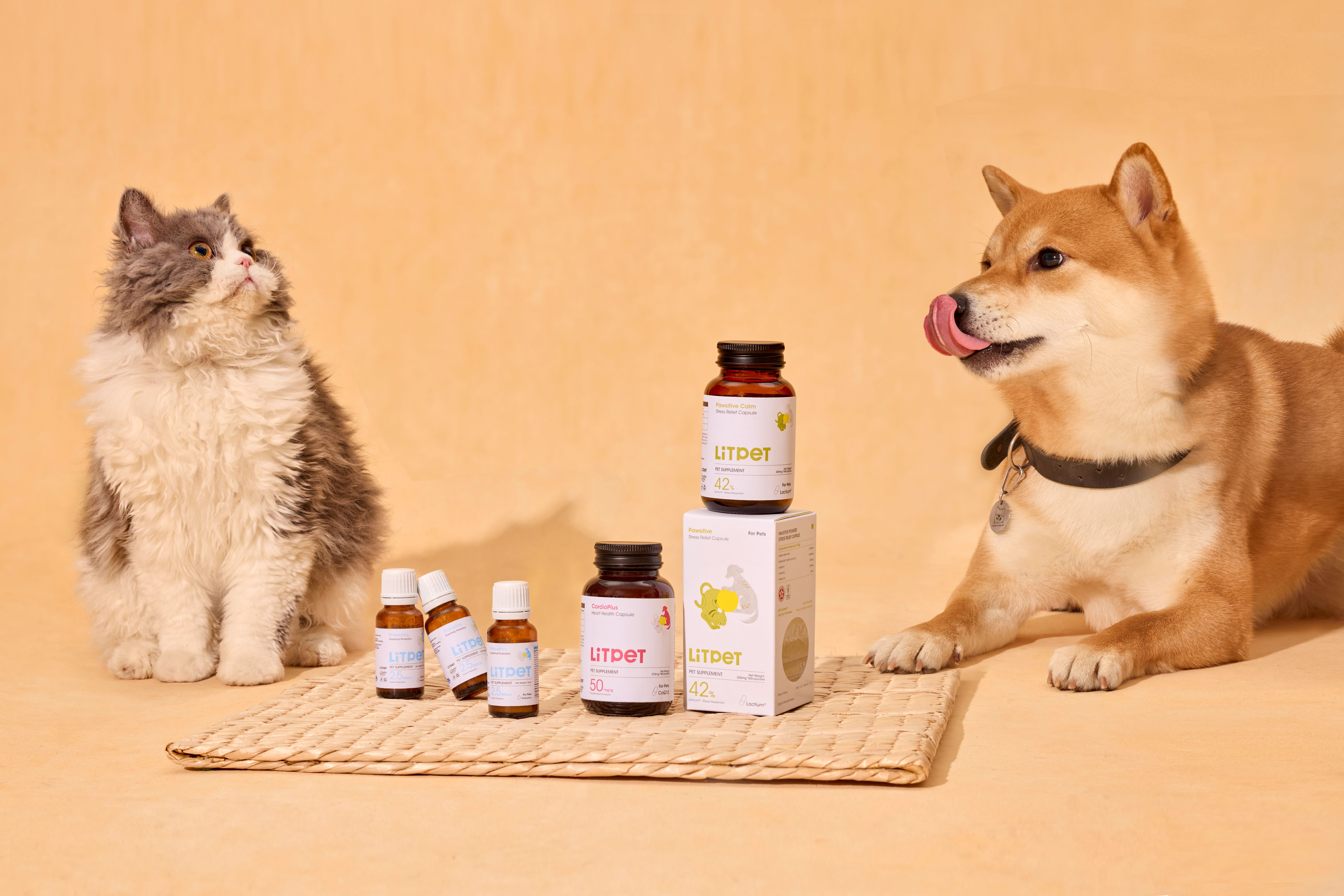 Integrating traditional Chinese medicine: the Asian secret for pet wellness