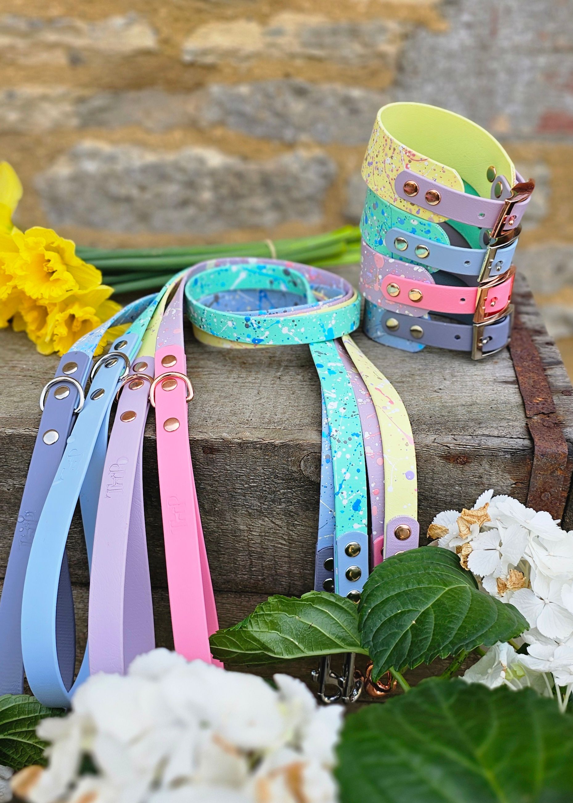 Pet accessory company, Trinkety Paws sets sights on global retail expansion