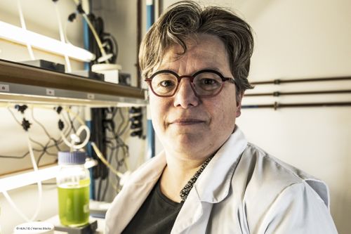 Imogen Foubert - KU Leuven