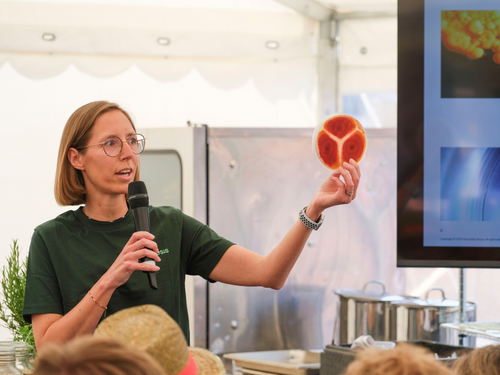 Mette Holse - Novonesis