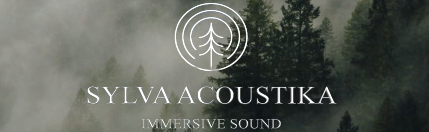 SURROUND SOUND