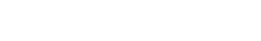 ICC 2027 - White Logo