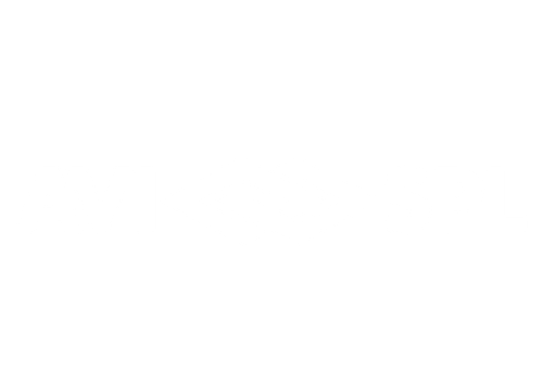 AVI SPL