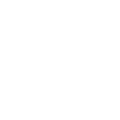Hollyland
