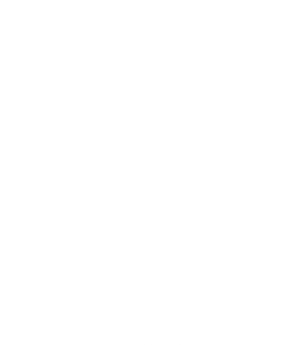 L Acoustic