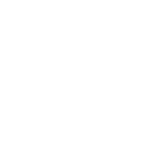 Dante by Audinate
