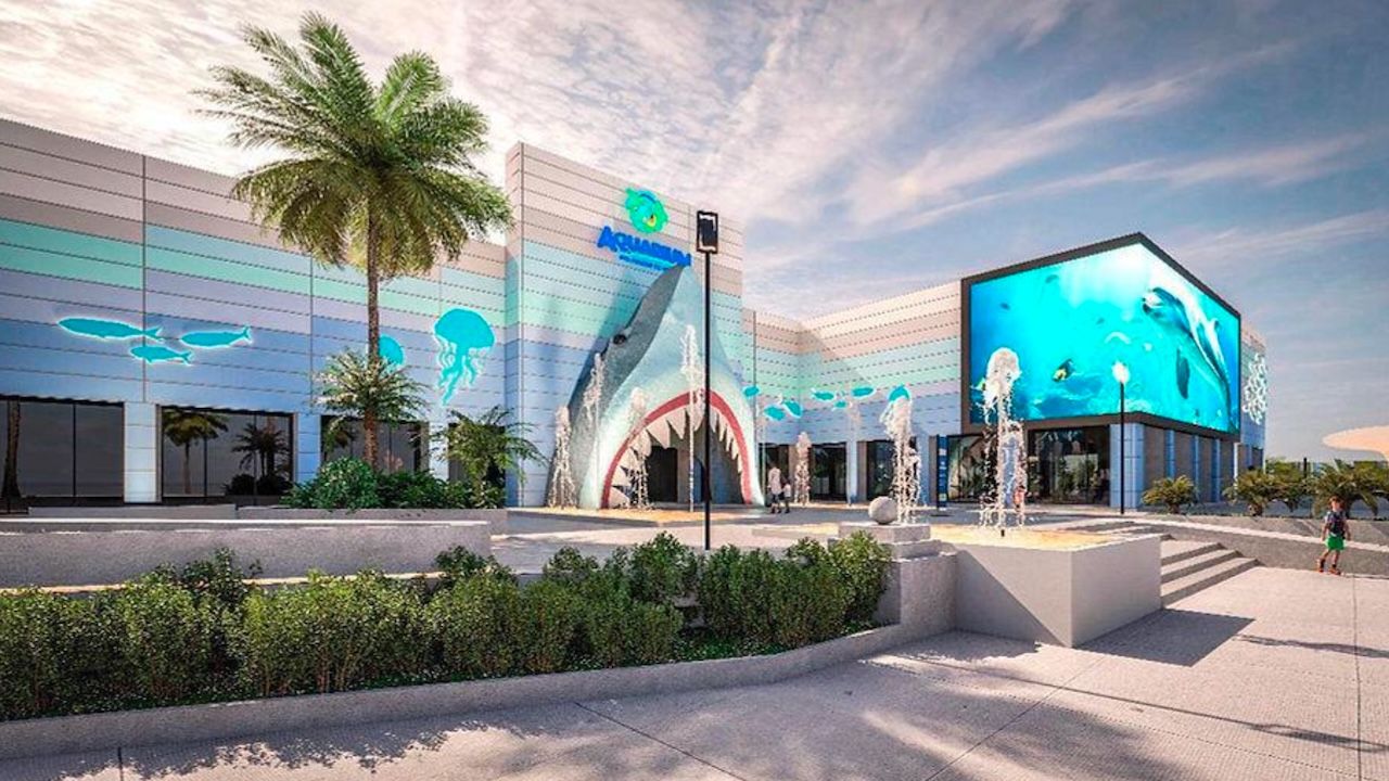 La magia del mar potenciada por tecnología: El caso del Aquarium de Veracruz