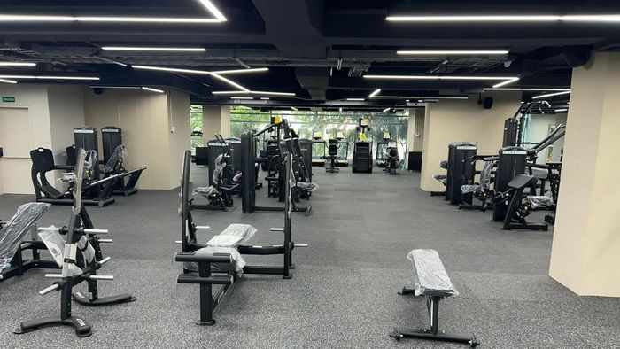 Diseño de audio multizona en espacios fitness: El caso Luxor