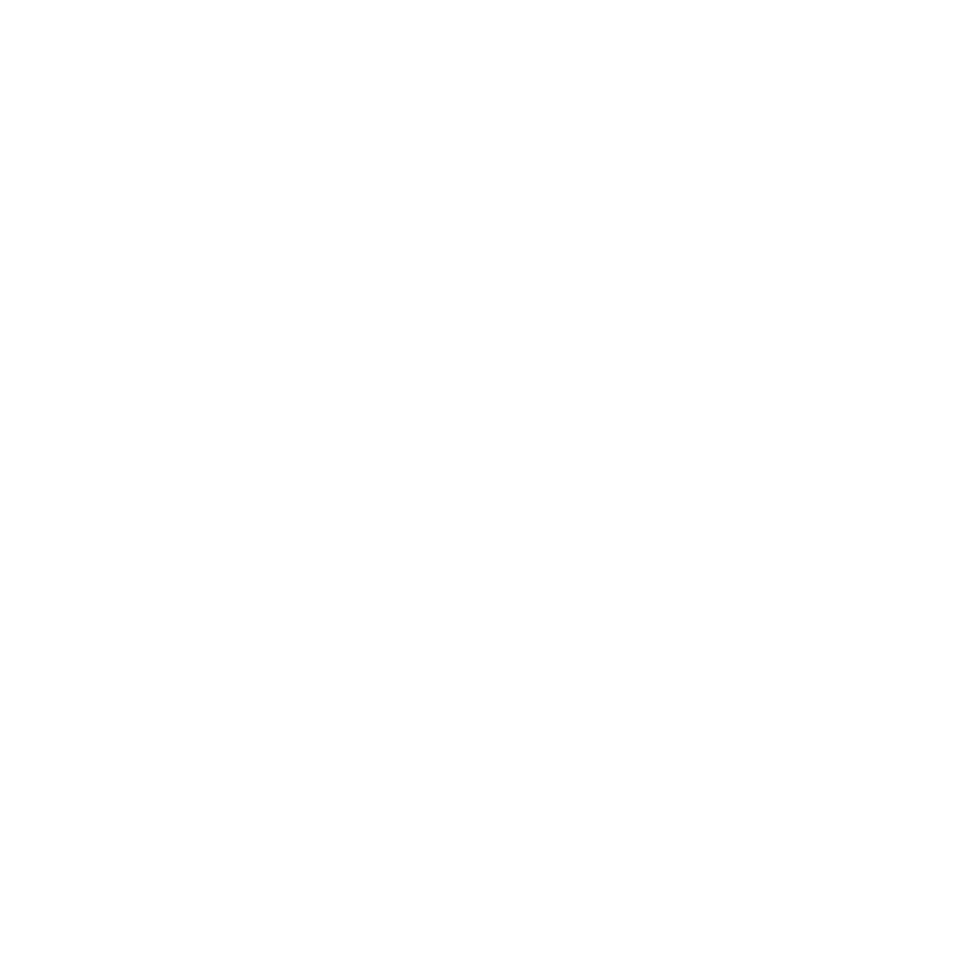 AVI-SPL logo