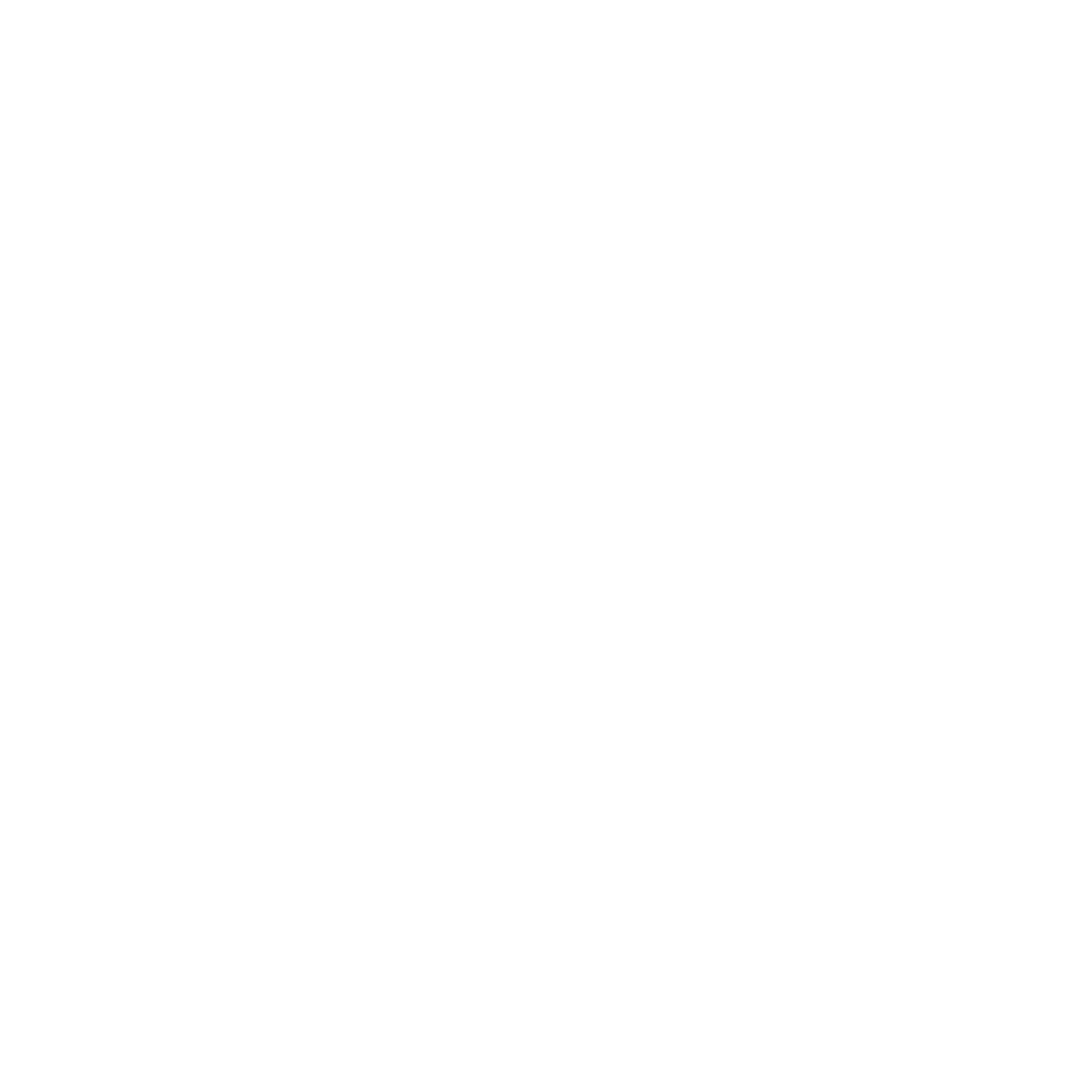 NAVITS logo