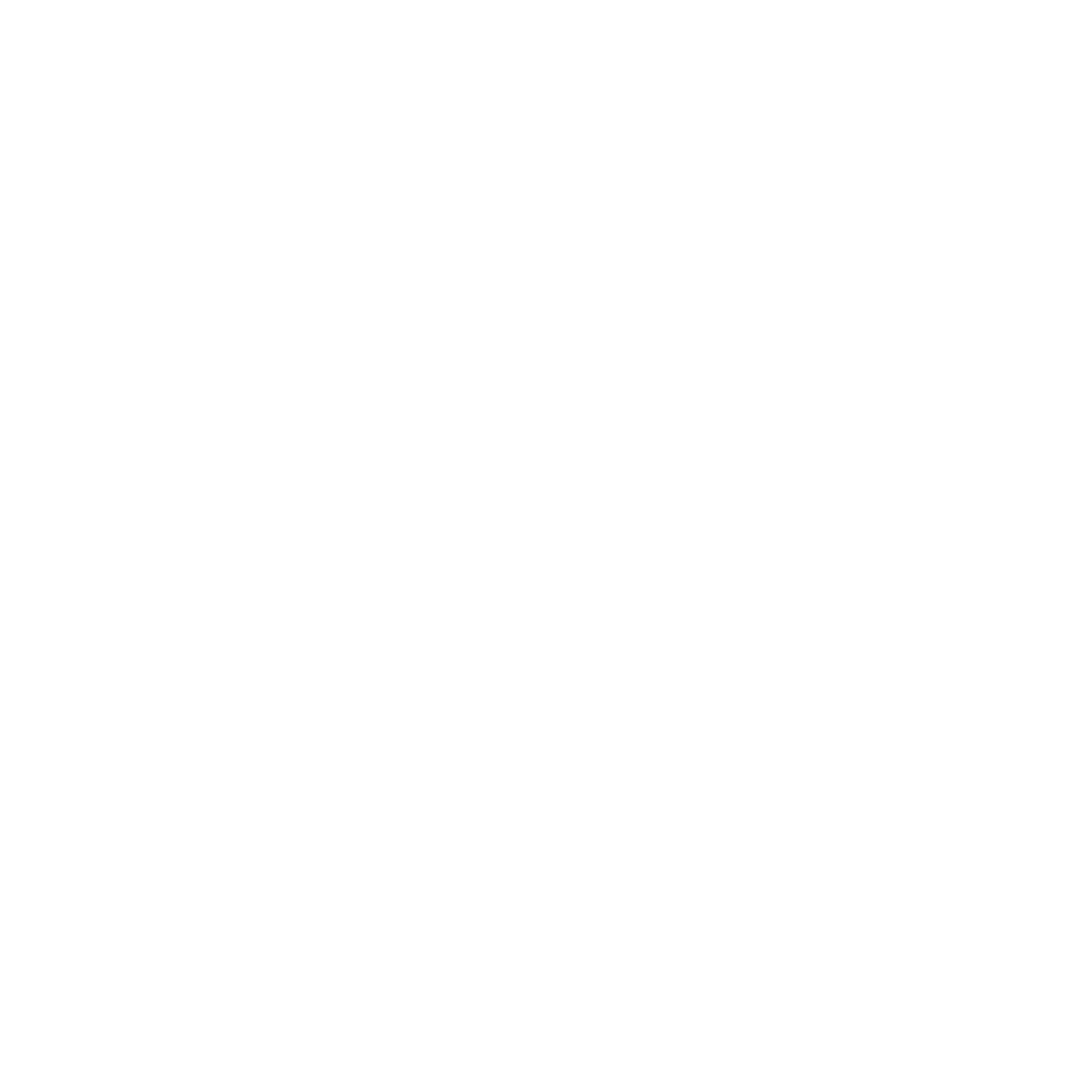 DS LATAM logo