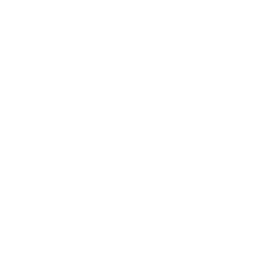 ABSEN Holdings México