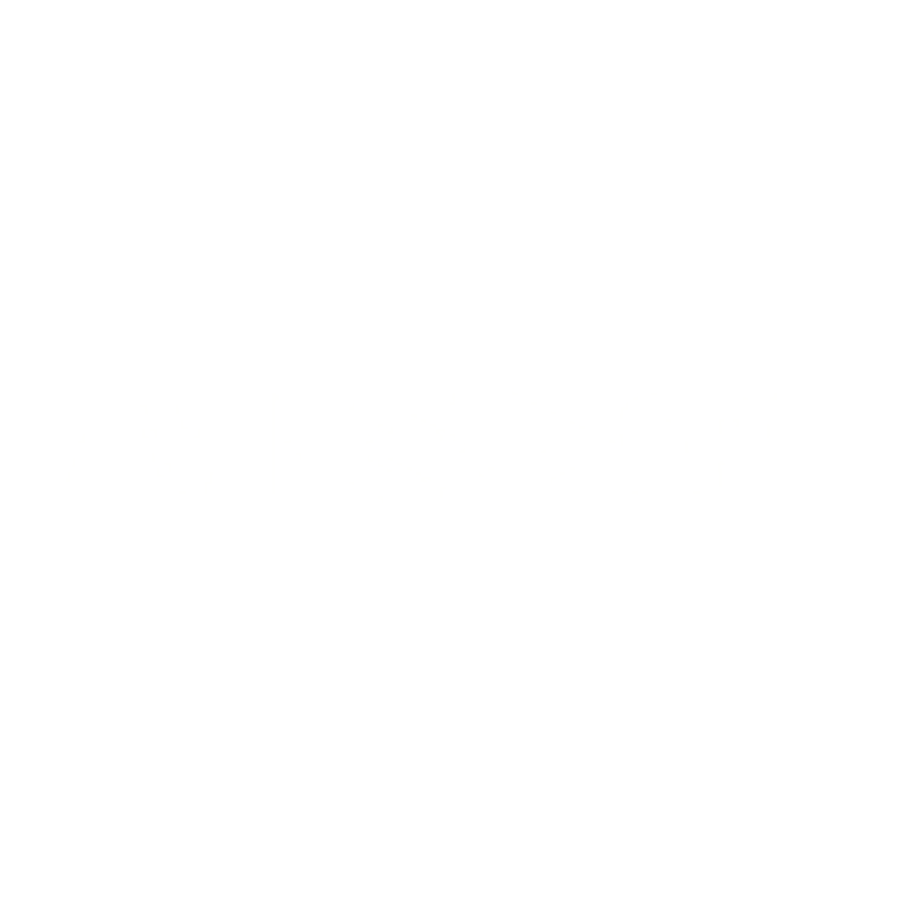 AVI SPL
