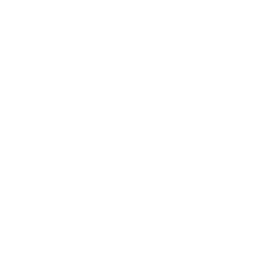 Taiden