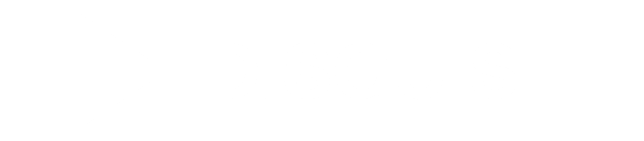 Disguise Logo