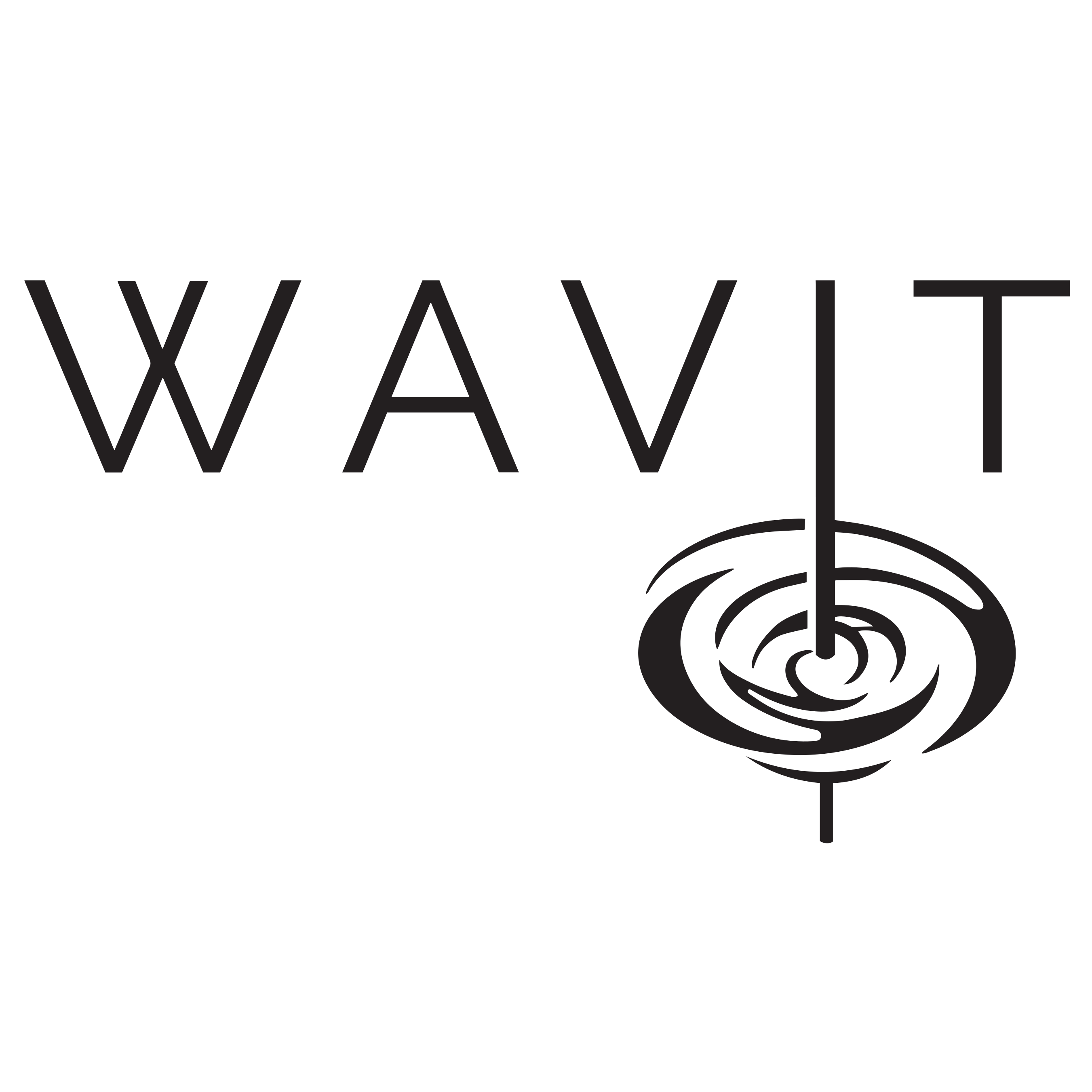 Wavit Logo