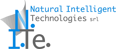 Natural Intelligent Technologies