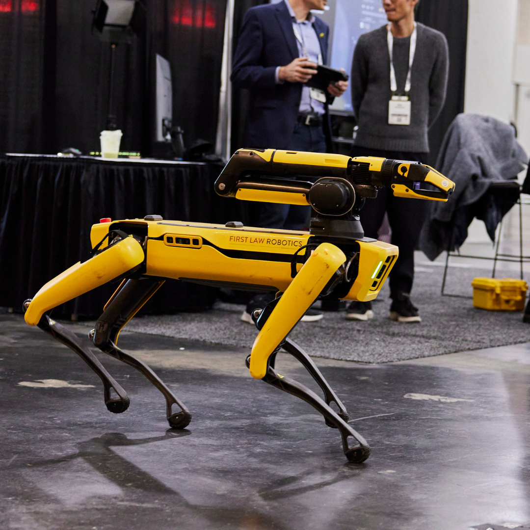 Robotics & AI Playground