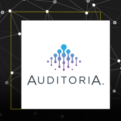 Auditoria.AI