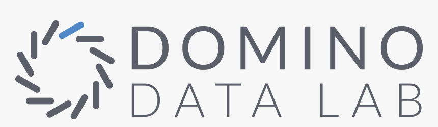 Domino Data Lab