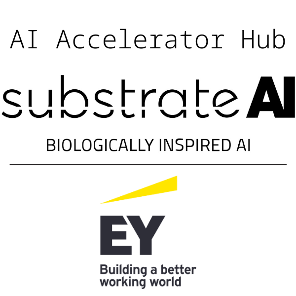Substrate AI & EY - AI Accelerator Hub Sponsors