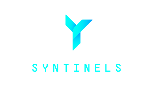 Syntinels GmbH