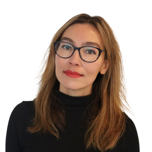 Elena Sinel - Teens in AI