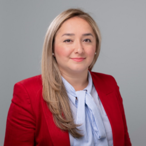 Feryal Clark - United Kingdom