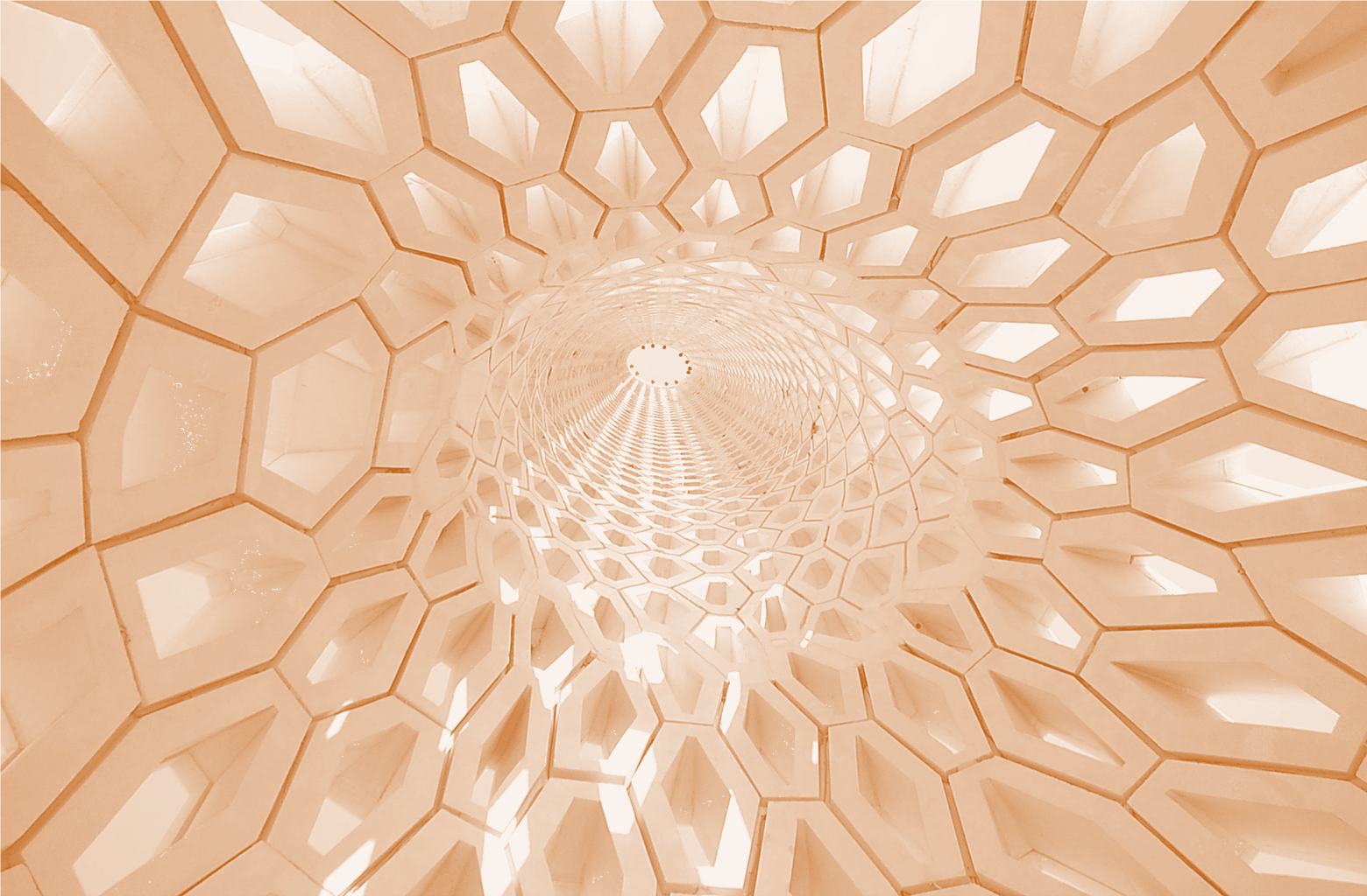 King Abdullah University of Science and Technology