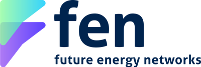 Future Energy Networks