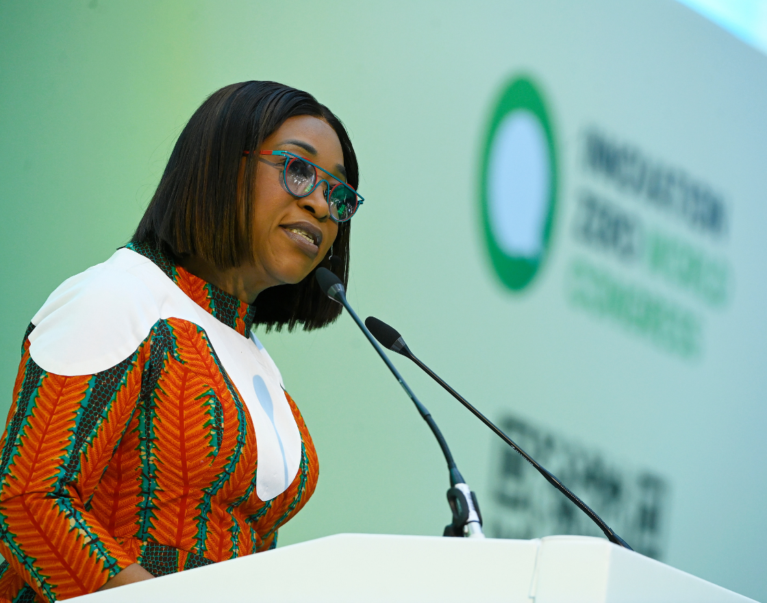 Sec-Gen Shirley Ayorkor-Botchwey
