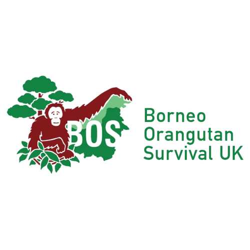 Borneo Orangutan Survival UK