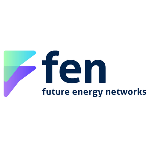 Future Energy Networks