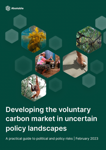 Developing the voluntary carbon market in uncertain policy landscapes