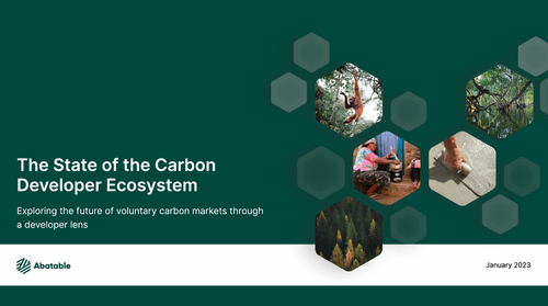 The State of the Carbon Developer Ecosystem