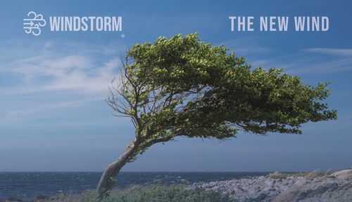 Renewable Wind Industry Challenges