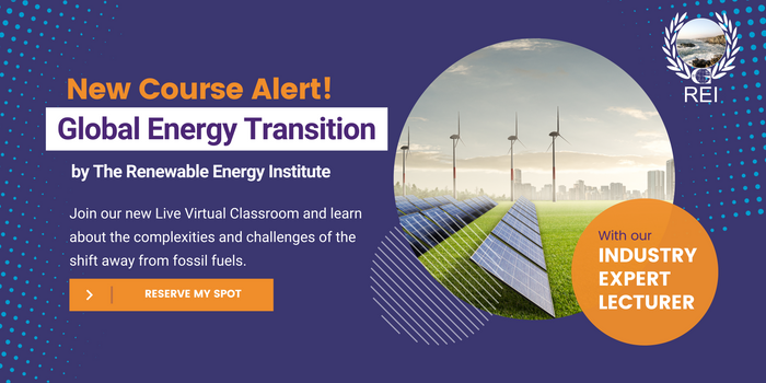 REI Launches New Global Energy Transition Course