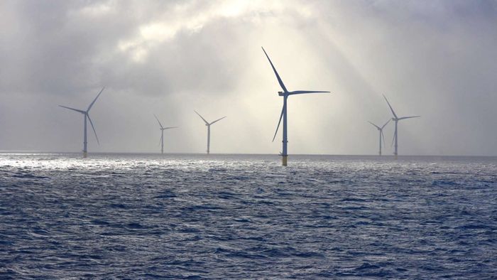 Arup signs MoU with industry leaders to promote nature inclusivity in offshore wind farm design