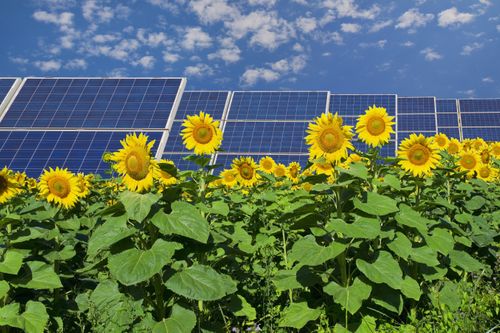Almost half of all businesses fail to explain how sustainability is reflected in their operations
