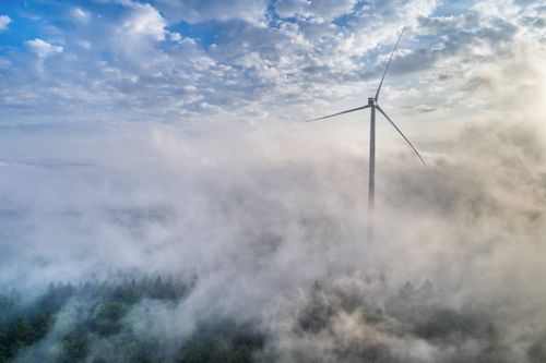 ACCA thought leaders challenge business on sustainability issues