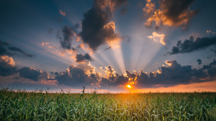 Regrow Secures Investment from SE Ventures to Advance Climate-Resilient Agricultural Supply Chains