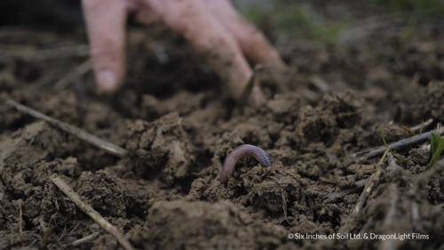 Six Inches of Soil Screening for Green Carpet Launch Event at Cambridge Arts Picturehouse SOLD OUT