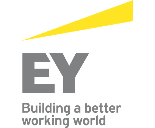 Highlights from EY at COP27