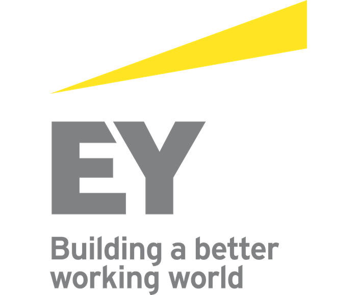 Highlights from EY at COP27